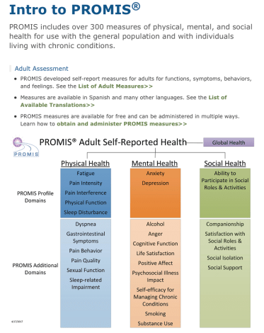 PROMIS screenshot 2018